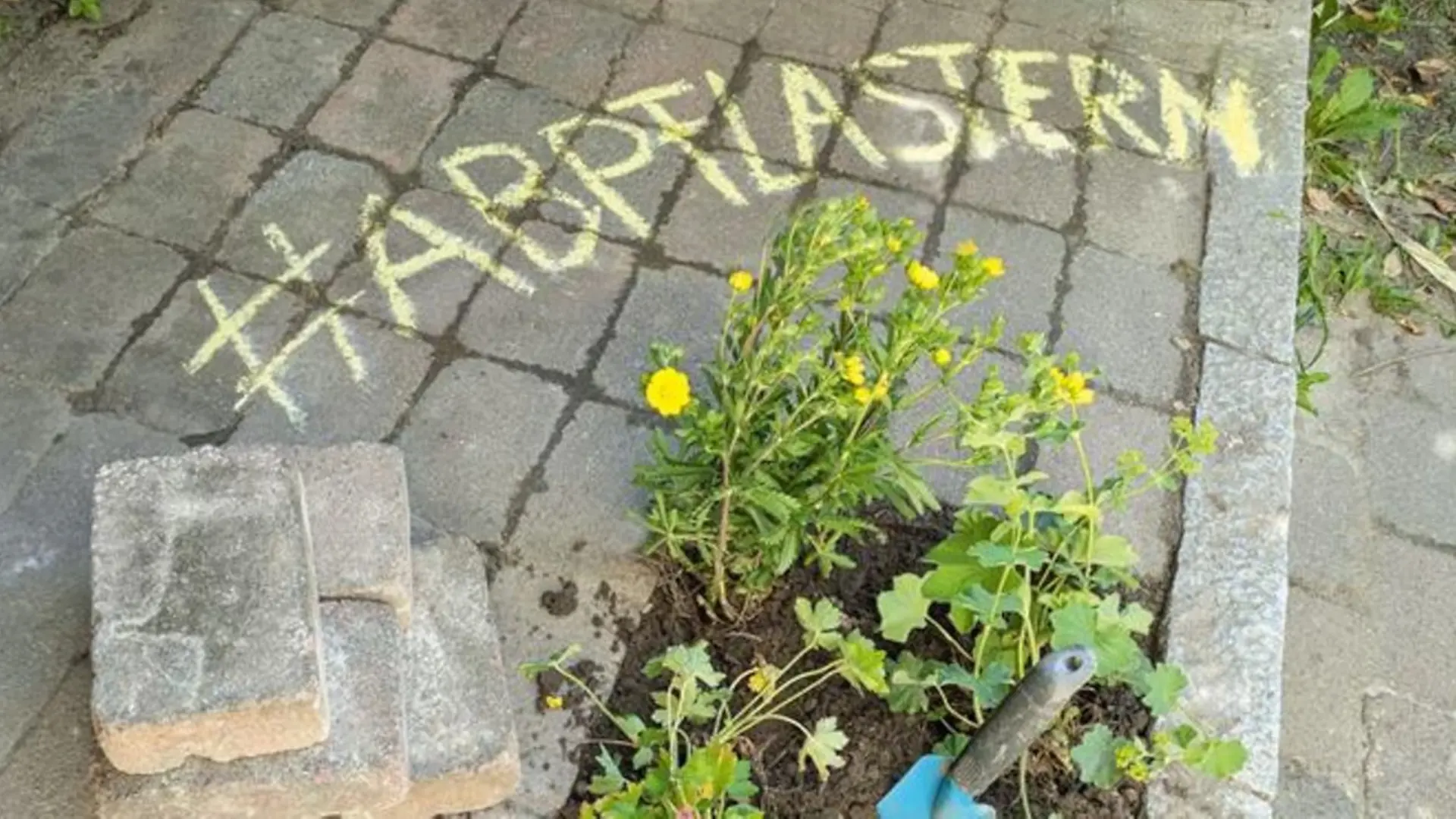 Abpflastern initiative campaign visual encouraging residents to unseal ground surfaces
